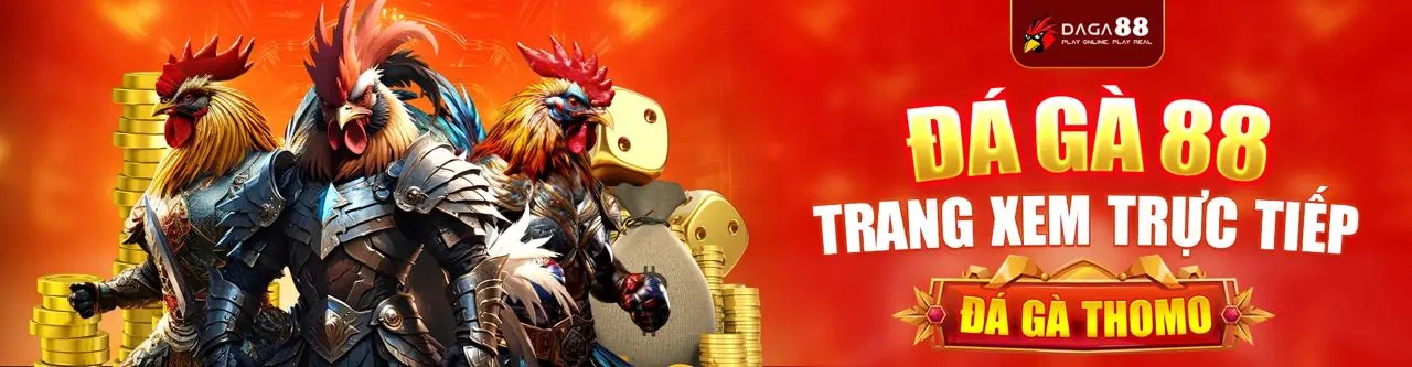 Sân đấu đá gà kịch tính tại lucky888 liên kết truy cập